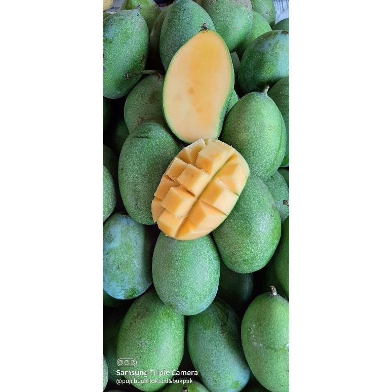 

Sempurna Mangga Manalagi Madu Manis