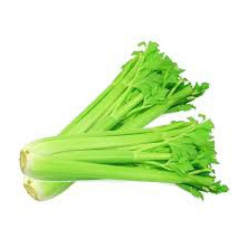 

Hemat Seledri Stick Celery Stick Import Stik Sledri Potong & Utuh