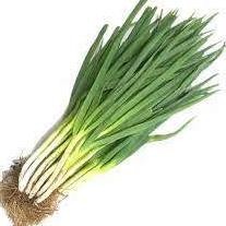 

Promo Bulan Ini [Dapur Express] Daun Bawang