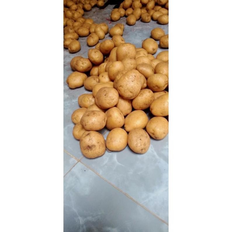 

Promo Kentang Sedang 1 Kg