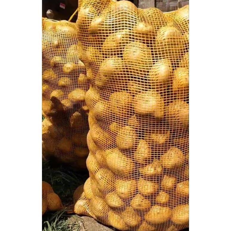 

Cod Kentang Dieng Kualitas Lokal@1Kg