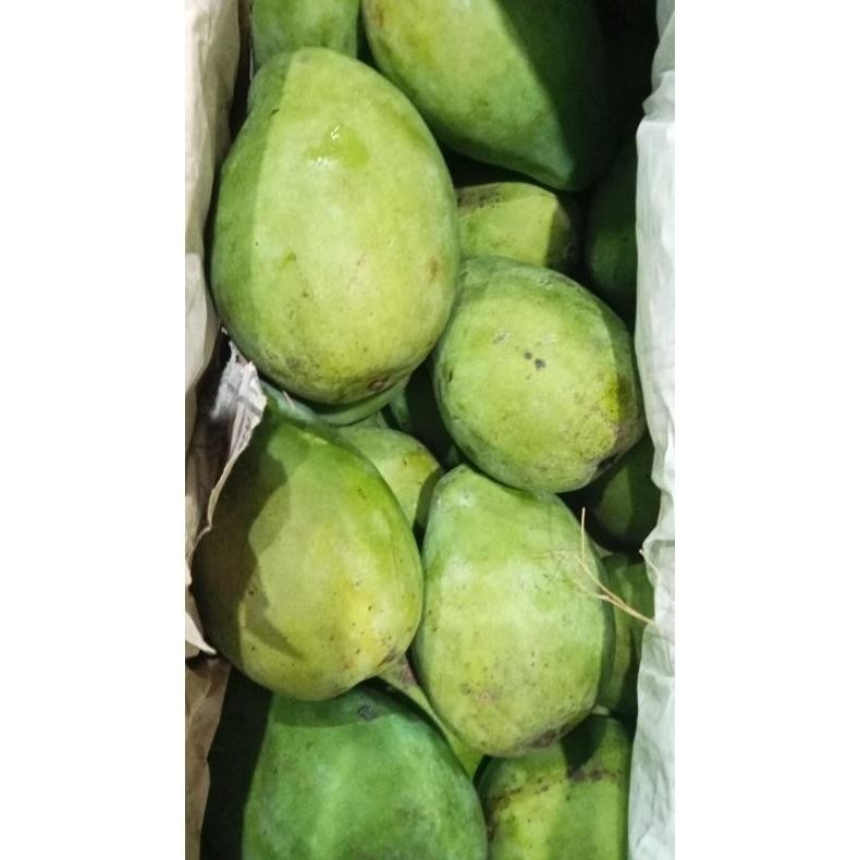 

Terbaru Mangga Indramayu Segar Manis 500 Gr/1 Kg