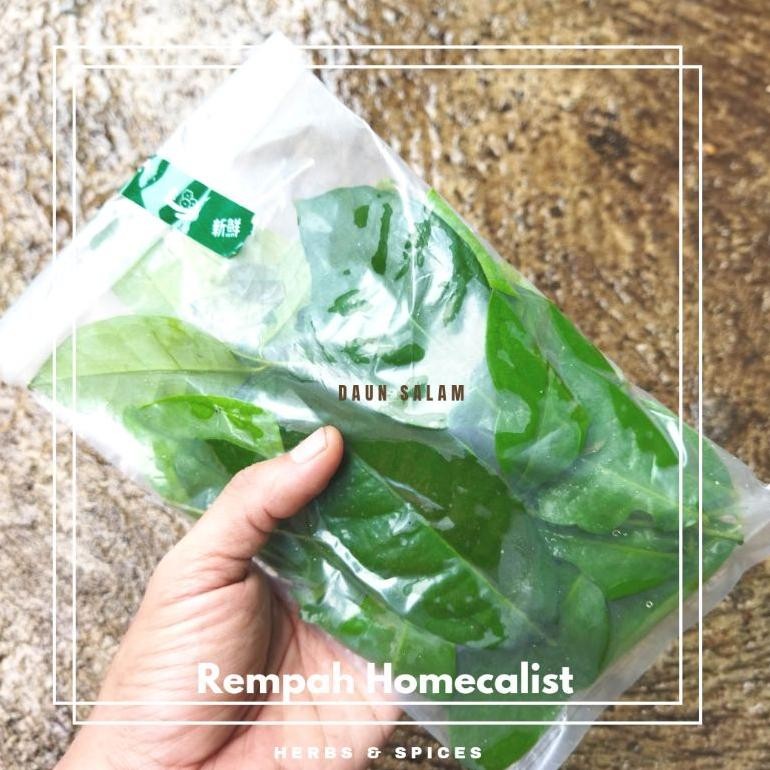 

Praktis Daun Salam Segar