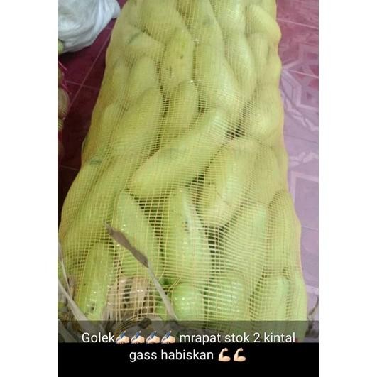 

New Buah Mangga Golek/Mangga Rujak 1 Kg