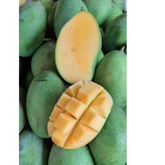 

Luar Biasa Mangga Manalagi Madu Manis