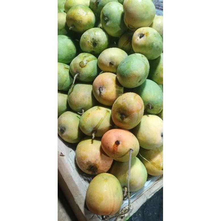 

Simplicity Mangga Gedong Fress Manis1Kg