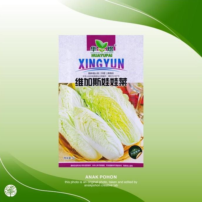 

(1 PACK) Benih Sawi Putih Chinese Cabbage Seeds - Retail Pack murah