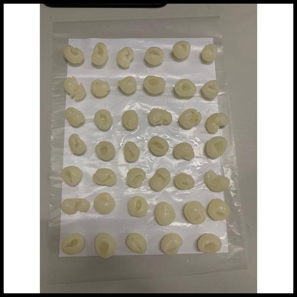 

LONGAN IN SYRUP 565G "PHRA PHROM" / BUAH KELENGKENG / KELENGKENG / LONGAN / LONGAN IN CAN / KELENGKENG NON GMO / LONGAN GLUTEN FREE / LENGKENG