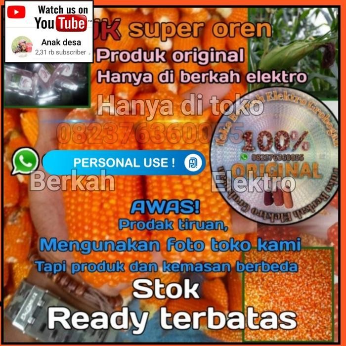 Benih jagung Kristal super orens Murah