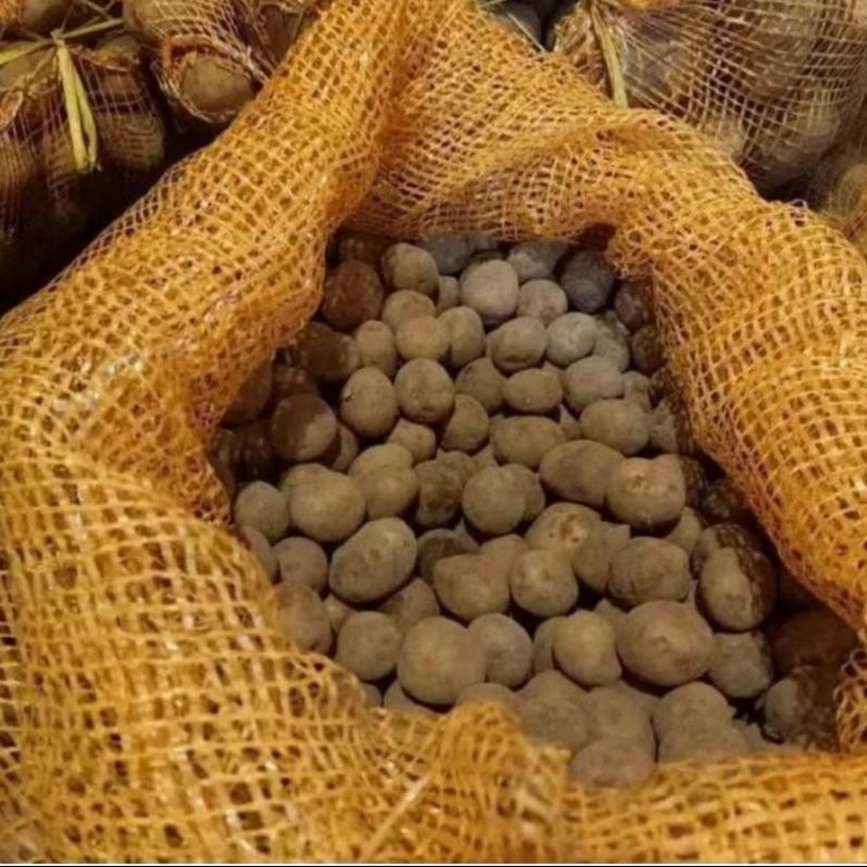 

Terbatas Kentang Dieng Mini Kecil 1Kg Isi Lebih Banyak Kualitas Sama Cocok Untuk Diet