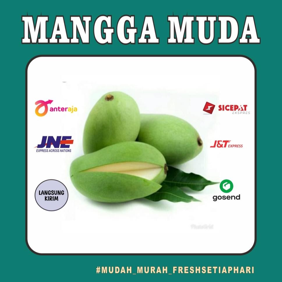 

Promo Mangga Muda/Mangga Rujak Fresh Murah Bandung 500G
