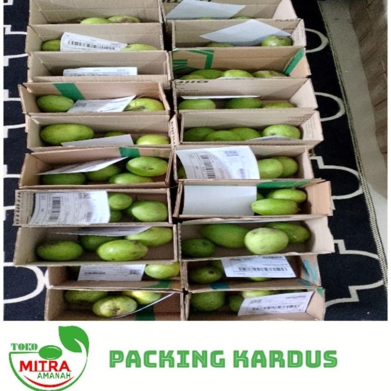 

Fitur Lengkap Mangga Muda Garansi Fresh