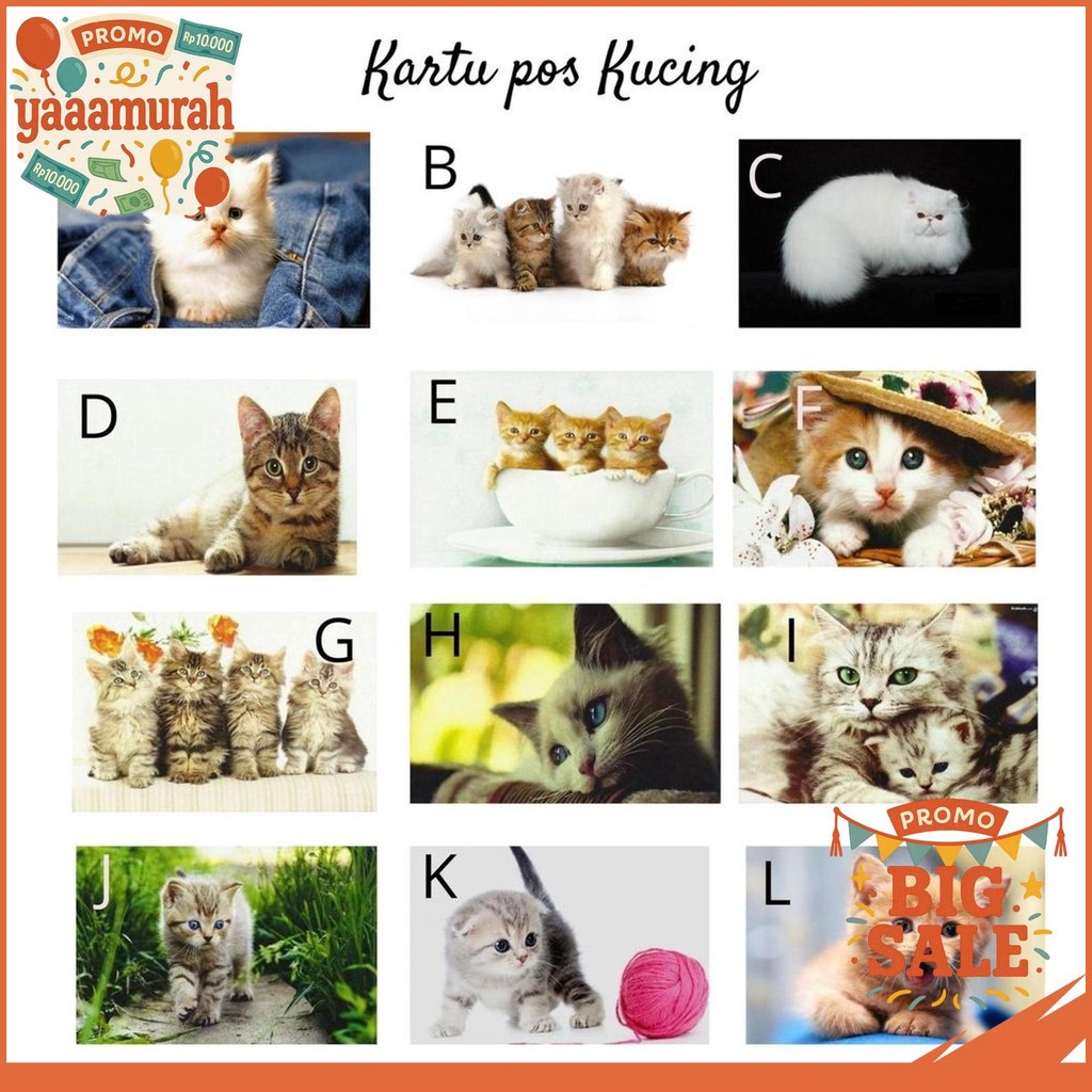 

MC- KARTU POS KARTUPOS KUCING / CAT POSTCARD