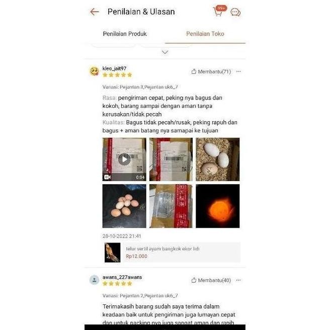 

TELUR AYAM PAMA NINJA IQ F1/TELUR VERTIL AYAM PETARUNG