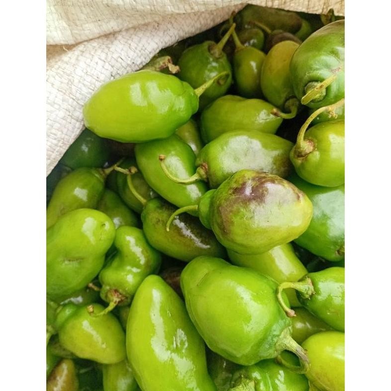 

Diskon Cabe Gendot Segar Super Besar Isi 500Gr