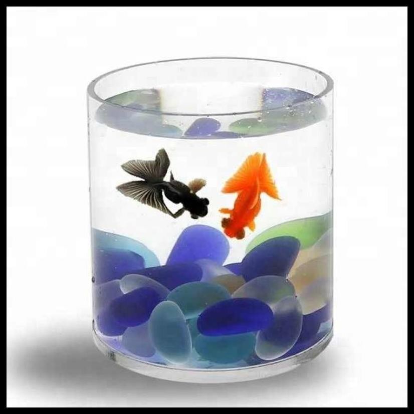 AQUARIUM TABUNG KACA / AKUARIUM IKAN HIAS GUPPY CUPANG / AQUASCAPE MINI