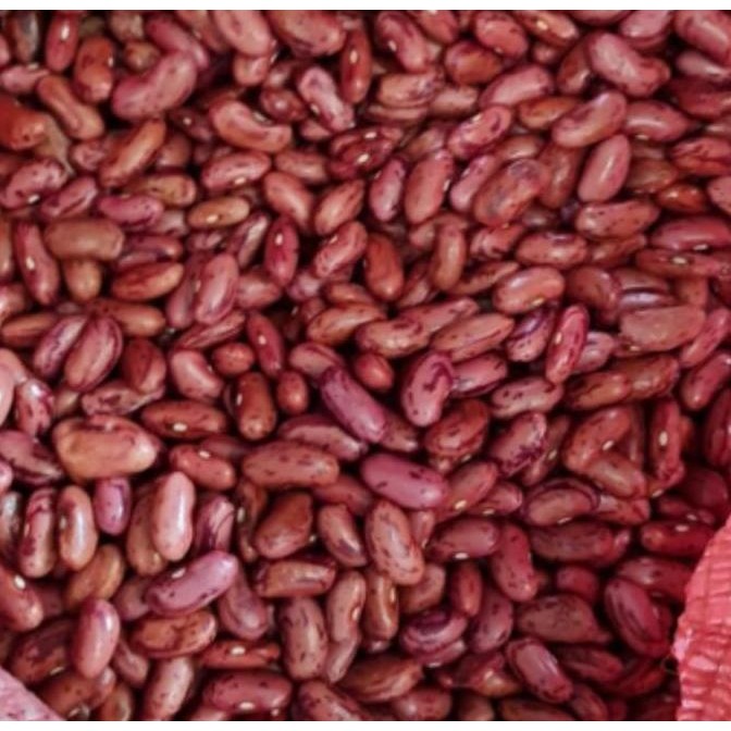 

Ready stok Terlaris kacang merah kacang jogo 1 kg ukuran besar Premium dijamin FRESH !! Termurah