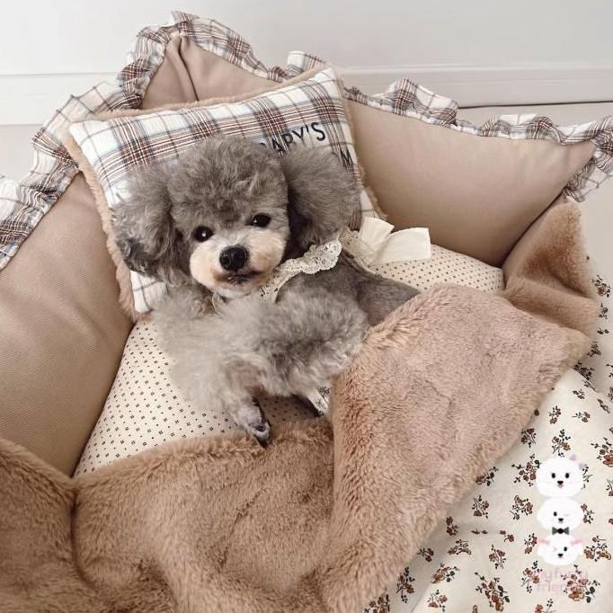 

Terlaris Sale Nifty Fairy Luxury Pet Bed, Sofa & Cradle For Dogs & Cats Tempat Tidur Anjing Kucing Premium Quality Korean Design