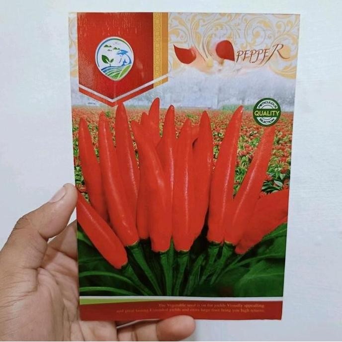 baru BENIH CABE RAWIT MAHKOTA DOMPOL