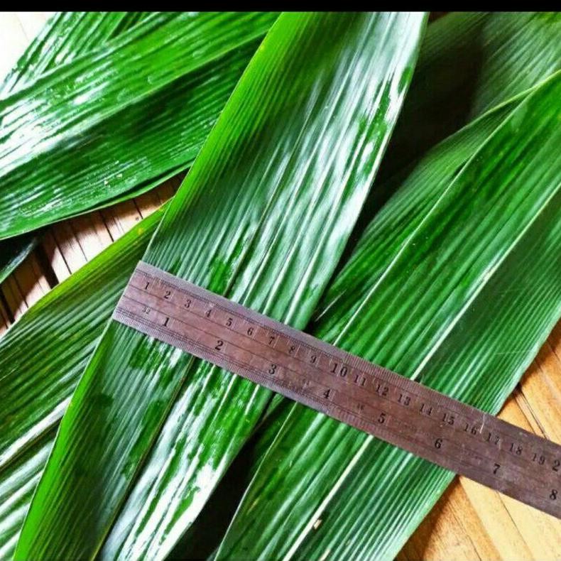 

DAUN BAMBU BUNGKUS BACANG UKURAN JUMBO 1KG