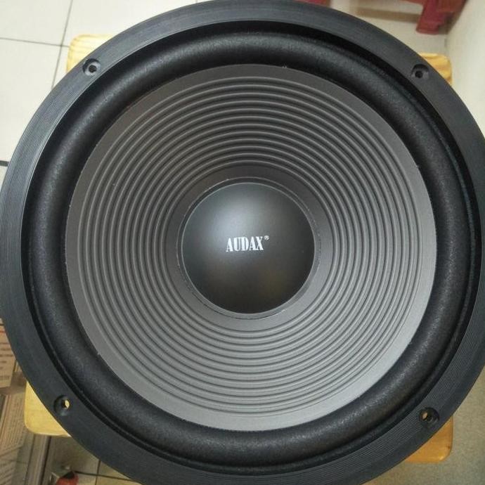 Speaker Woofer Audax 10 Inch Ax-10040 Wpb / Ax10040 / Ax 10040Wpb Original New Stok