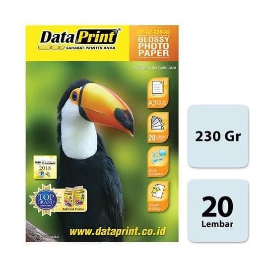 

Kertas Foto Data Print 230 A3 Glossy Terlaris
