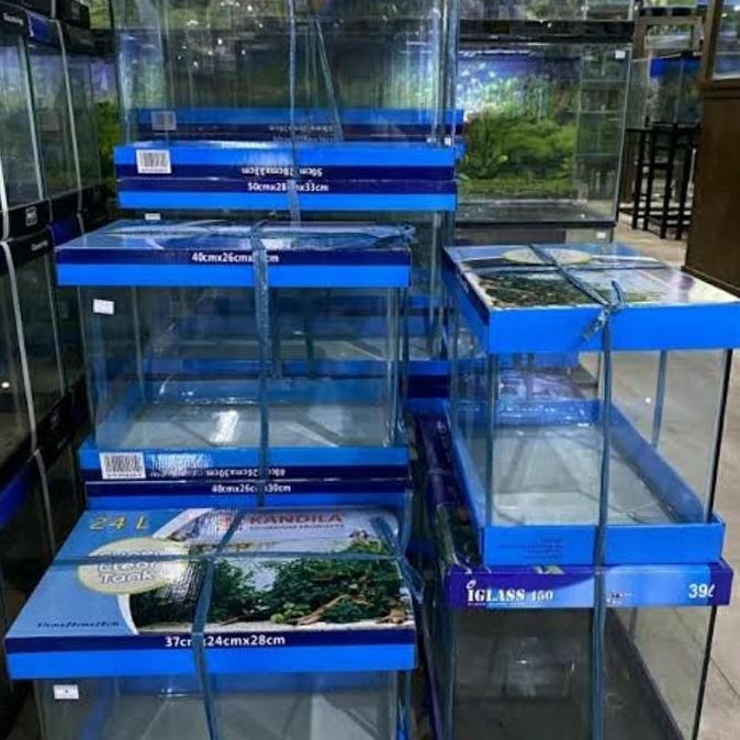 Aquarium Bending Kandila 60Cm X 30Cm X 36 Cm