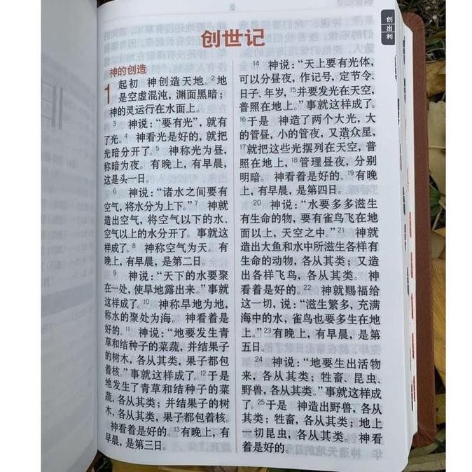 new Alkitab Mandarin Tulisan besar/Chinese Bible / Brown Cover