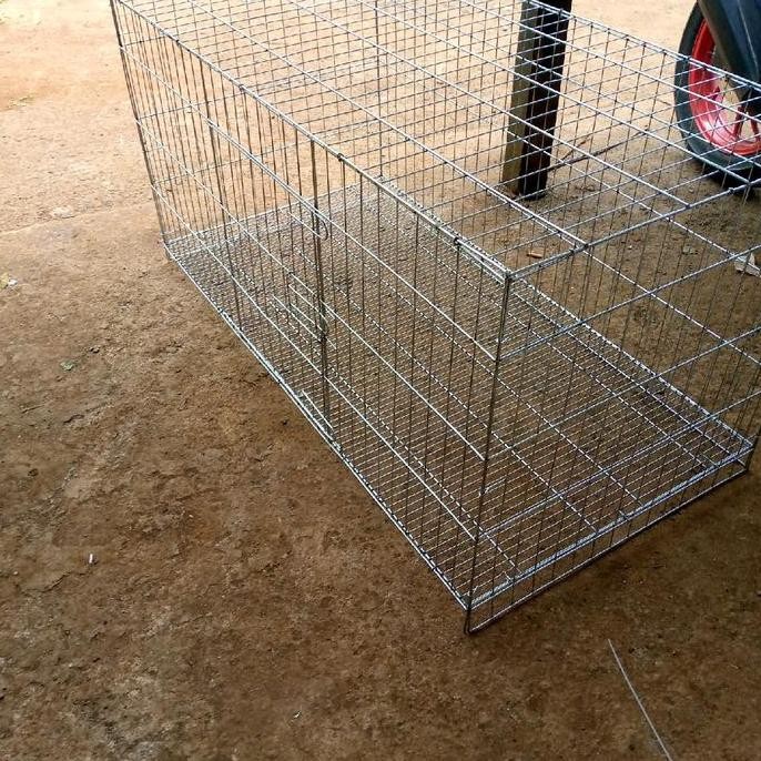Kandang Kucing Super Jumbo 120X60X60 Co