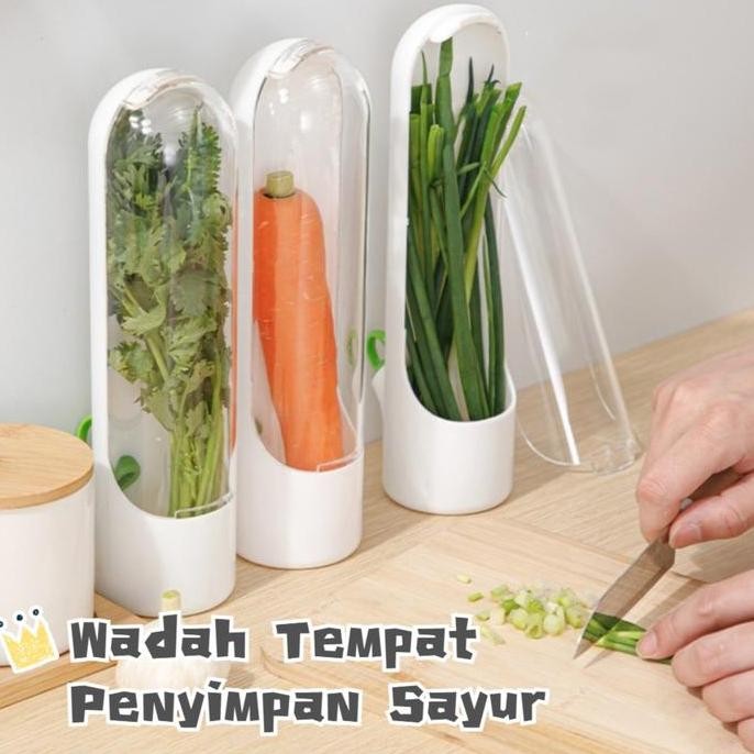 

Terlaris Wadah Tempat Penyimpan Sayur/Herb Storage Tempat Daun Bawang Seledri Kemangi Herb Keeper/Wadah Tempat Penyimpan Sayur/Refrigerator Container Dapur