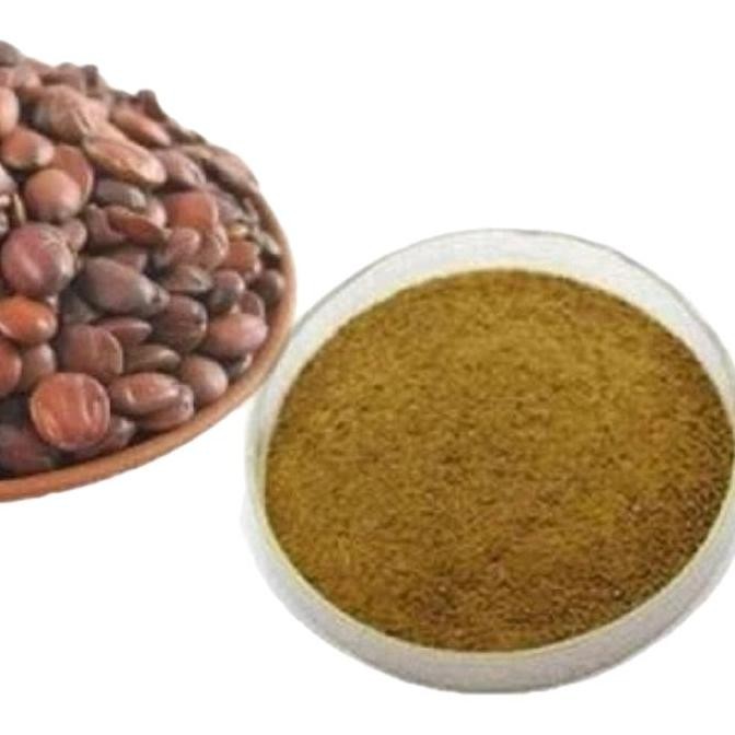 

TERLARIS - 100gr Bubuk Murni Herbal Suan Zao Ren Ziziphus Jujuba Grade A