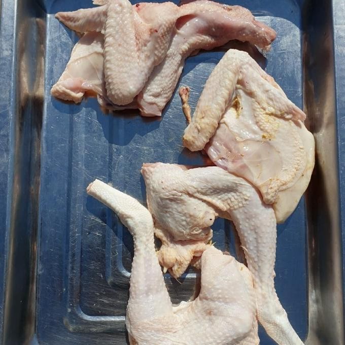

(Expert) Ayam pejantan 0.7kg - utuh / dipotong