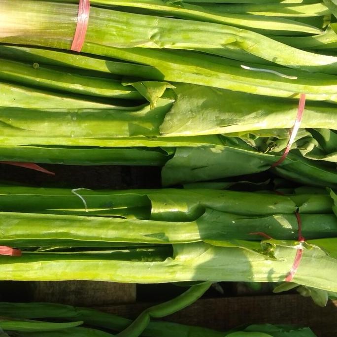 

Sayur Genjer segar