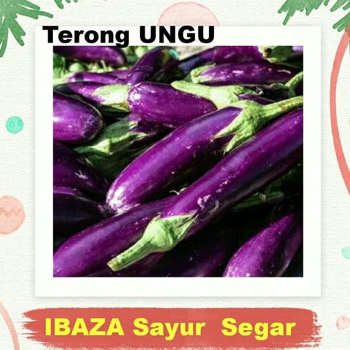 

TERUNG UNGU PANJANG Sayur Segar IBAZA fruitsBOX - 1 buah terong ungu