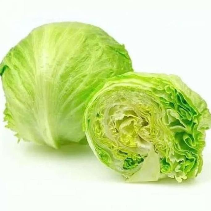 

Sayur selada lettuce head 500gr iceberg selada bokor sayur sayuran segar fresh harga grosir murah
