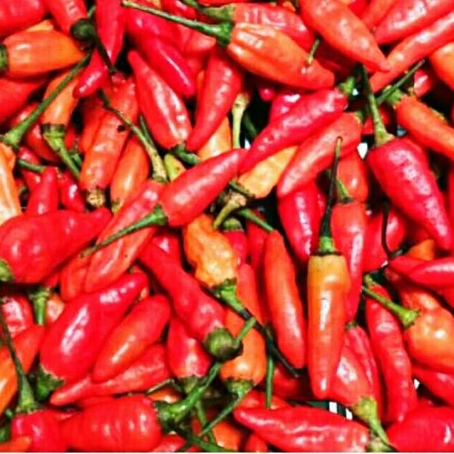 

CABE RAWIT MERAH sayur Segar IBAZA fruitsBOX