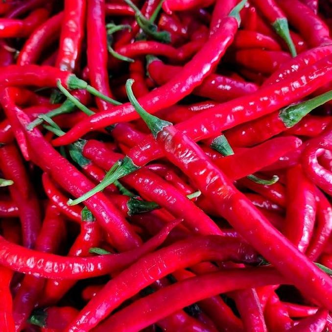 

CABE MERAH BESAR SEGAR | STOK BARU | CHILI | PEDAS | SAYUR Cabai | LOMBOK