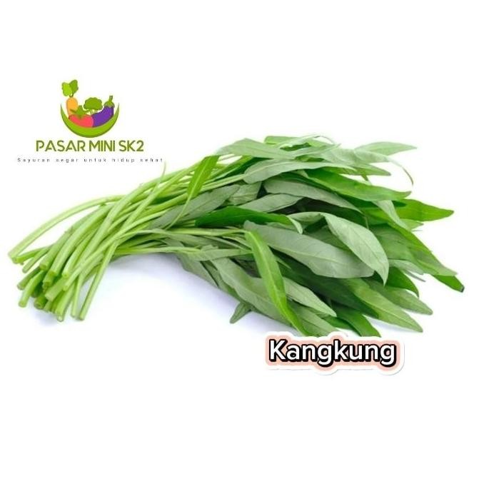 

sayur kangkung segar