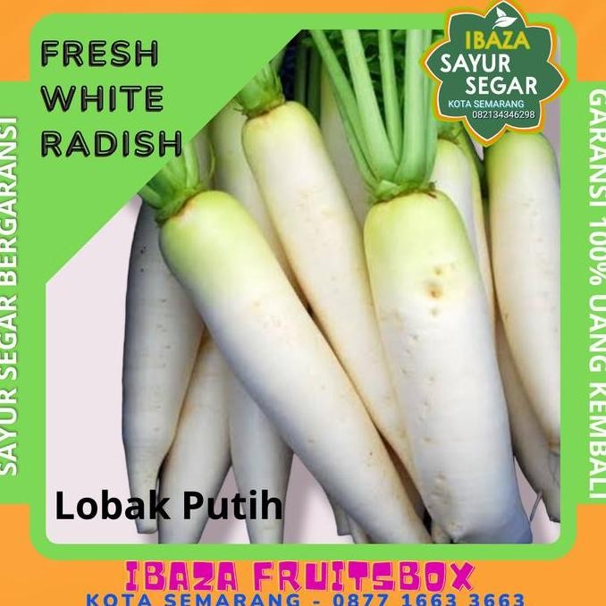 

Sayur Lobak Putih Sayur Segar IBAZA fruitsBOX