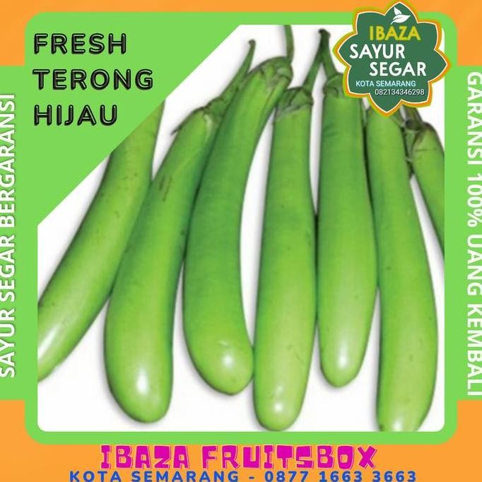 

Sayur Terong Hijau Sayur Segar IBAZA fruitsBOX