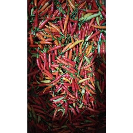 

Cabe rawit fresh petani