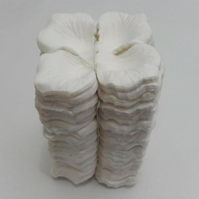 

Terlaris Rose Petals Putih 500 Gram/Bunga Artificial/Bunga Karpet/Bunga Tabur