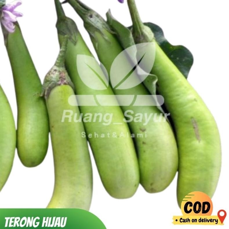 

Terong Hijau , Terong Hijau 500 - 1 Kg