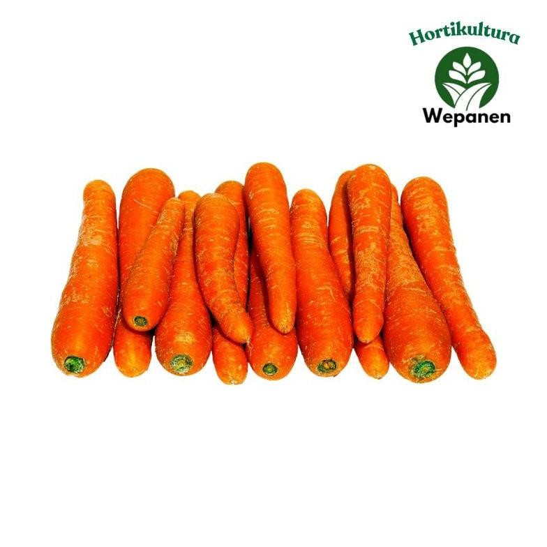 

Wortel Brastagi 500gr