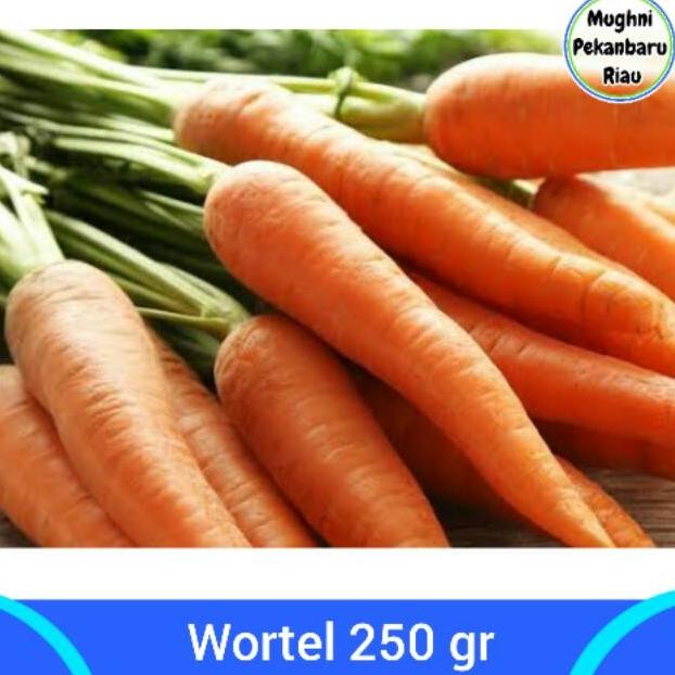

Wortel Wartel 1/4 Kg