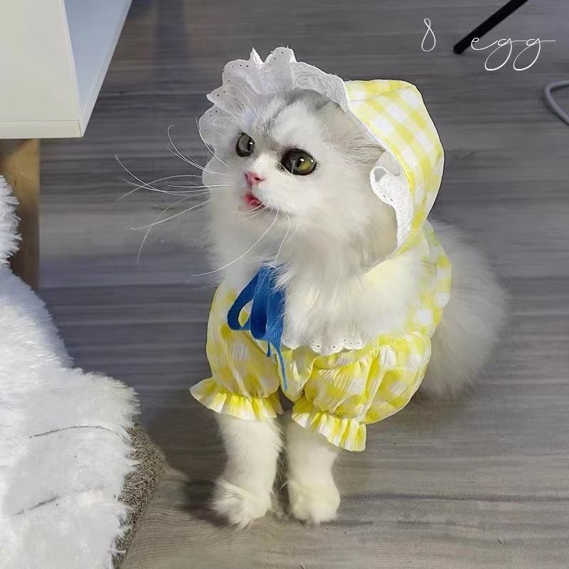Spring Summer New Cute Dog Cat Anti-Shedding Bichon Pomeranian Ragdoll Cat
