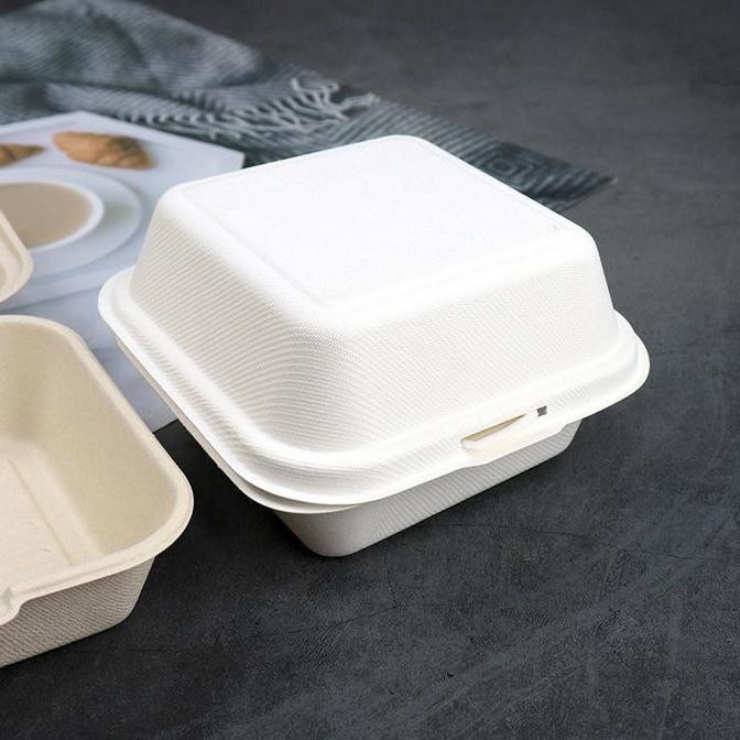 Bagasse Bento Box Cake Box Box Burger Korean Cake Lunch Box
