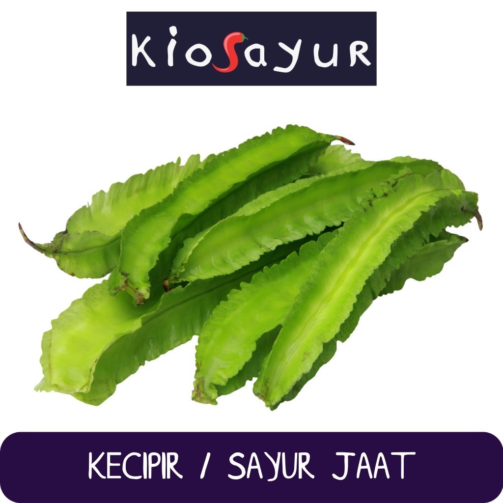 

Kecipir / Sayur Jaat Kiosayur