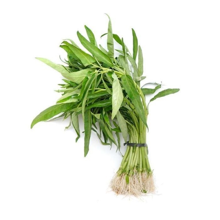 

Kangkung Hidroponik Kiosayur