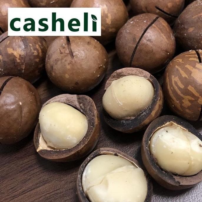 

Macadamia Nuts In Shell Besar Panggang 1Kg Kacang Macadamia Kulit